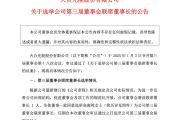 93年千金二代任联席董事长 400亿光伏巨头天合光能将让出“C位”？-中石化网上营业厅